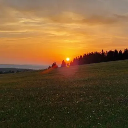 Landgasthof Neitsch 3*