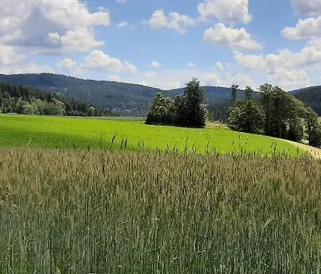 Landgasthof Neitsch Konukevi