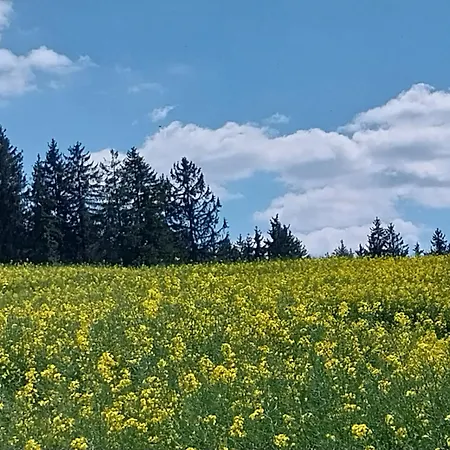 Landgasthof Neitsch